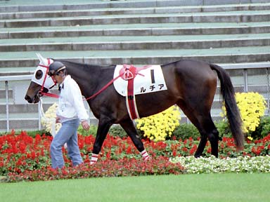 2001/11/18 東京04R