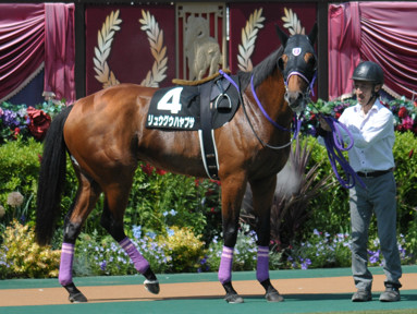 2022/05/28 東京09R