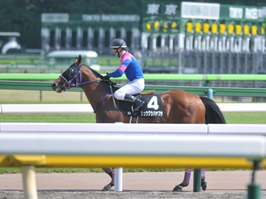 2022/05/28 東京09R