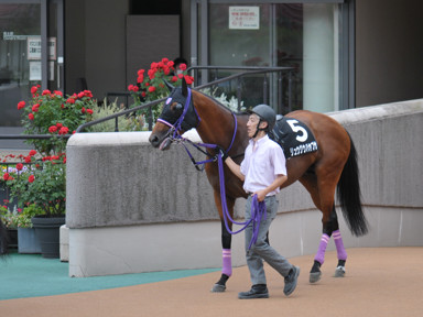 2022/06/18 東京09R