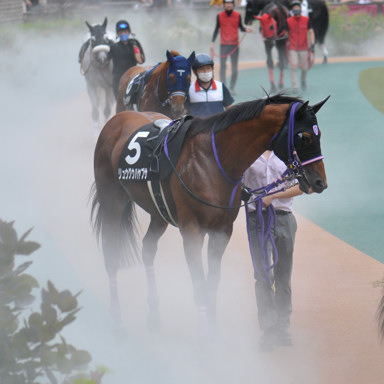 2022/06/18 東京09R