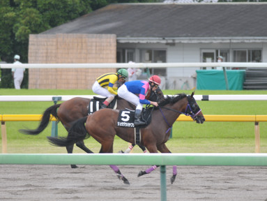 2022/06/18 東京09R