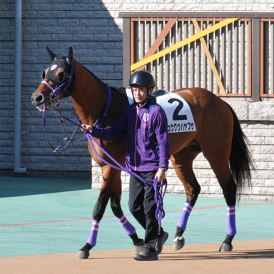 2022/11/29 東京08R
