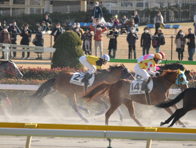 2022/11/29 東京08R