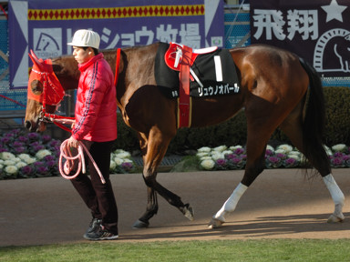 2009/12/19 R09R