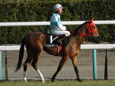 2009/12/19 R09R