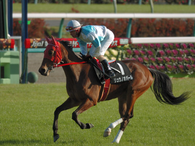 2009/12/19 R09R