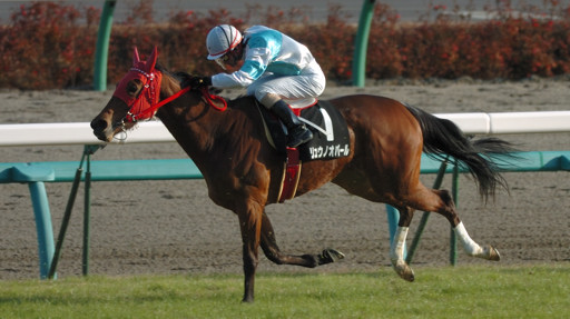 2009/12/19 R09R