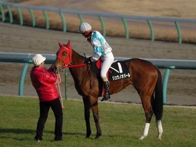 2009/12/19 R09R