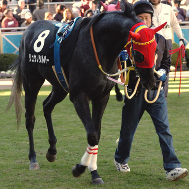 2008/12/07 R09R