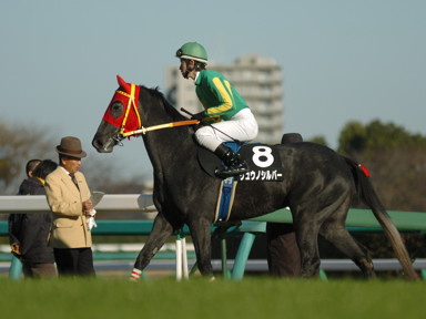 2008/12/07 R09R