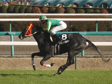 2008/12/07 R09R