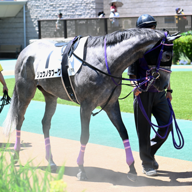 2025/06/22 東京07R