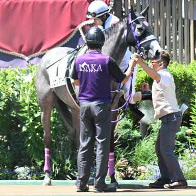 2025/06/22 東京07R