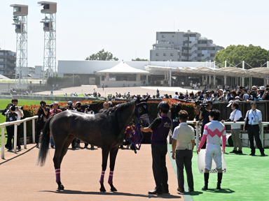 2025/06/22 東京07R