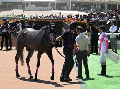2025/06/22 東京07R