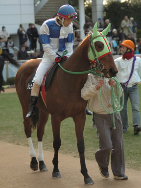 2008/01/13 R09R