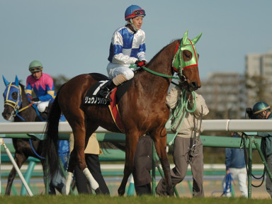 2008/01/13 R09R