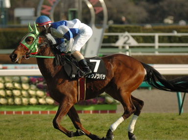 2008/01/13 R09R