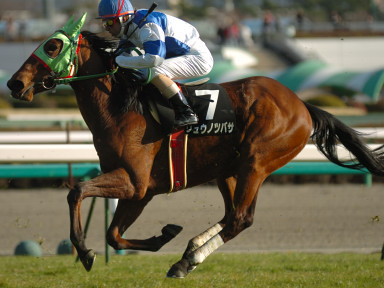 2008/01/13 R09R