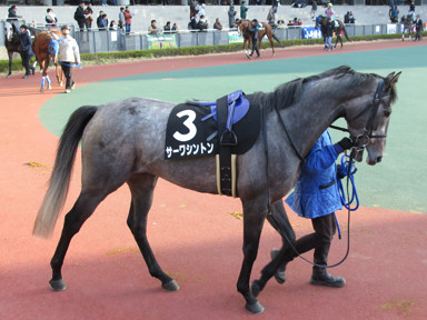 2018/01/21 中京12R
