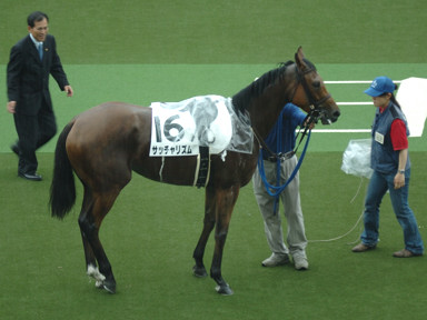 2009/05/31 東京07R