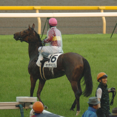 2009/05/31 東京07R