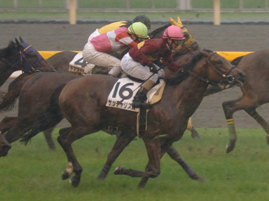 2009/05/31 東京07R