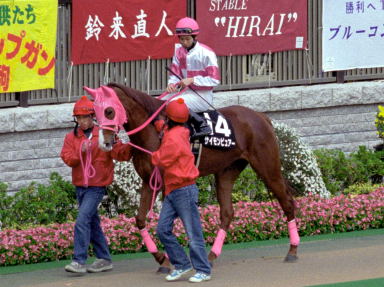 2003/11/23 東京10R