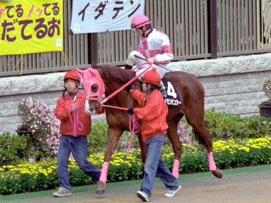 2003/11/23 東京10R