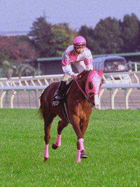 2003/11/23 東京10R