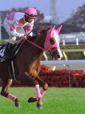 2003/11/23 東京10R