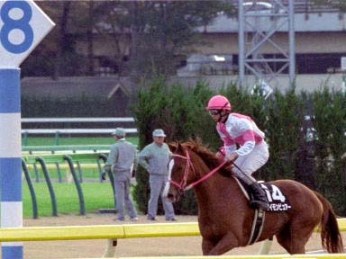 2003/11/23 東京10R
