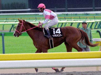 2003/11/23 東京10R