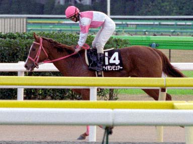 2003/11/23 東京10R