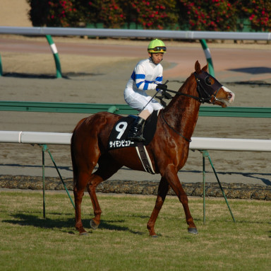 2005/01/08 中山10R
