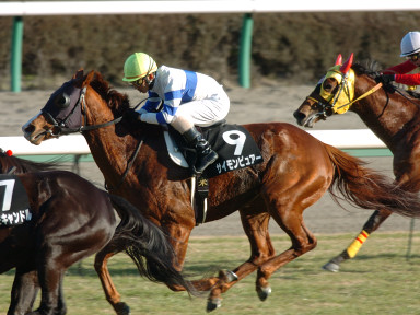 2005/01/08 中山10R