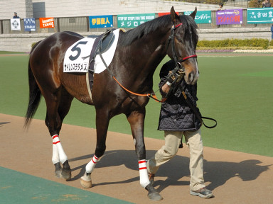 2008/02/23 東京04R