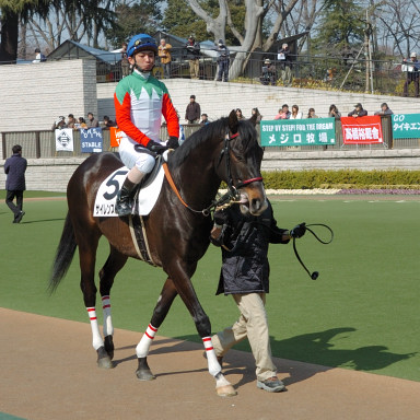 2008/02/23 東京04R