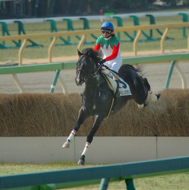 2008/02/23 東京04R
