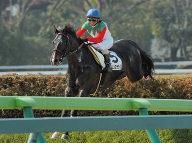 2008/02/23 東京04R
