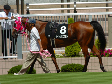 2005/07/23 新潟09R