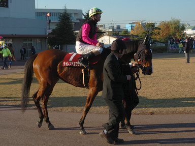 2006/12/06 船橋10R