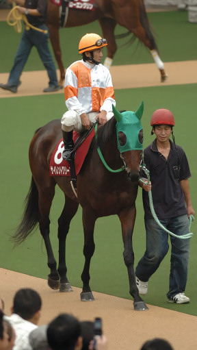 2004/10/10 東京11R