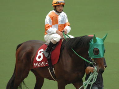 2004/10/10 東京11R