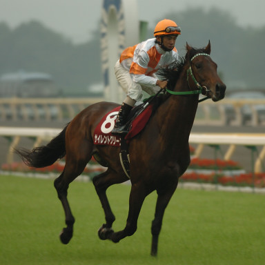 2004/10/10 東京11R
