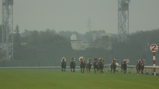 2004/10/10 東京11R