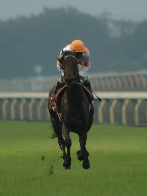 2004/10/10 東京11R