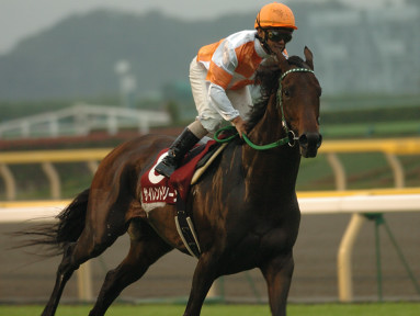 2004/10/10 東京11R