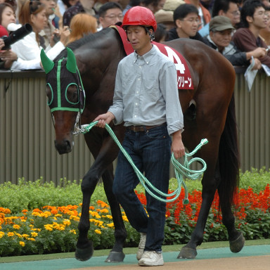 2005/10/09 東京11R